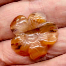 Load image into Gallery viewer, Plumeria! Carved Carnelian Hawaiian Flower Bead | Orange | 25x6mm | 1 Bead |