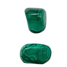 Load image into Gallery viewer, Malachite Polished Gemstone Nugget | 37x25 to 25x17mm|Green| 2 Display Specimen|