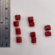 Load image into Gallery viewer, Natural AAA Red Coral Branch Tube Beads | 5 to 6 x 4mm | Red | Tube | 10 Beads |