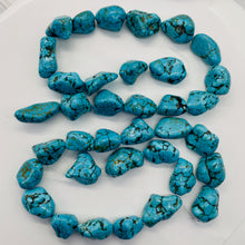 Load image into Gallery viewer, Turquoise Howlite 31x18 to 14x16mm Bead Strand 110171A