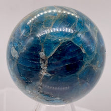 Load image into Gallery viewer, Apatite 254g Meditation Sphere | 2.19" | 55mm | Blue, White | 1 Display Specimen