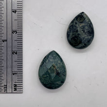 Load image into Gallery viewer, 2 Kambaba Jasper Faceted Briolette Beads 7304
