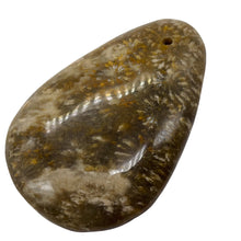 Load image into Gallery viewer, Fossilized Coral Teardrop Pendant Bead | 60x42x8 | Gray White | 1 Bead |