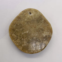 Load image into Gallery viewer, Coral Fossilized with Tiny Critters Pendant Bead | 46x43x8mm | 1 Bead |