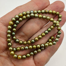 Load image into Gallery viewer, Fresh Water Pearls 16" Strand Round Pearls | 5mm | Golden Green | 1 Strand |