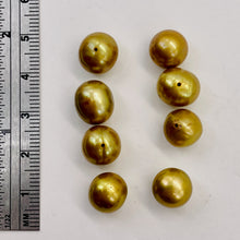 Load image into Gallery viewer, Golden Horizons Large Fresh Water Pearls } 10 to 11mm | 8 Pearls |