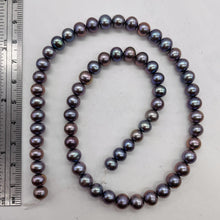 Load image into Gallery viewer, Spectacular Natural Forget-Me-Not Hued 6.5mm Freshwater Pearl Strand 103079