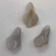 Load image into Gallery viewer, Chalcedony Calla Lily Flower Beads | 22x11x2.5mm to 27x11x2mm | White | 3 Beads|