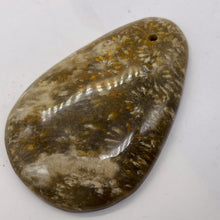 Load image into Gallery viewer, Fossilized Coral Teardrop Pendant Bead | 60x42x8 | Gray White | 1 Bead |