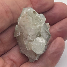 Load image into Gallery viewer, Apophylite Crystal Collectors Natural Specimen | 3.8g | 42x38x30mm | Green |