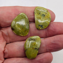 Load image into Gallery viewer, Turquoise Faustite Freeform Beads| 28x19 to 27x18m | Chartreuse, Black| 3 Beads|