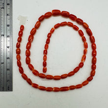 Load image into Gallery viewer, Coral Oval Graduated Beads Strand | 16" Long | 8x4 to 6x3mm | Red | 1 Strand |