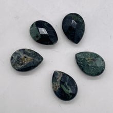Load image into Gallery viewer, 2 Kambaba Jasper Faceted Briolette Beads 7304