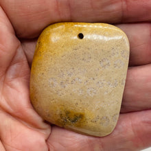 Load image into Gallery viewer, Coral Fossilized with Tiny Critters Pendant Bead | 45x38x8mm | 1 Bead |