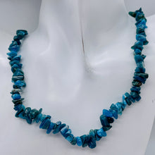 Load image into Gallery viewer, Apatite Bead Strand | Chip | 11x8x5 to 7x5x4mm | Blue | 200 Beads |