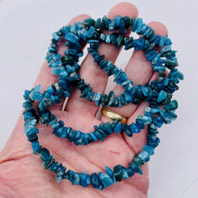 Load image into Gallery viewer, Apatite Bead Strand | Chip | 11x8x5 to 7x5x4mm | Blue | 200 Beads |