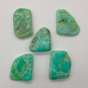Designer Natural Chrysoprase Beads | 212cts! | 35x20x4 to 34x24x7mm | 5 Beads |