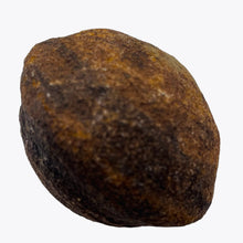 Load image into Gallery viewer, Moqui Marble Shaman Stone 83g Display Specimen | 42x35mm | Brown | 1 Specimen |