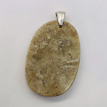 Load image into Gallery viewer, Coral Fossilized with Tiny Critters Sterling Silver Pendant | 2 1/4" Long |