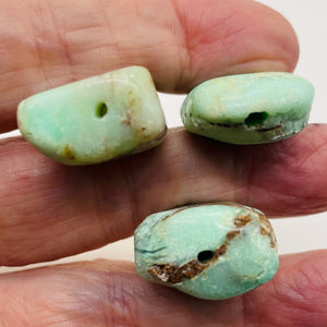Designer Natural Chrysoprase Beads | 206cts | 35x25x15 to 33x25x9mm | 3 Beads |