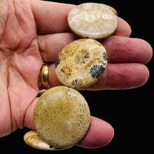 Load image into Gallery viewer, 1 Fossilized Coral 35mm Coin Pendant Bead 9156