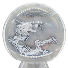 Load image into Gallery viewer, Dragon in Quartz Sphere 233g(8oz) | 55mm (2.2") | Clear | 1 Display Specimen |