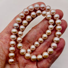 Load image into Gallery viewer, Bridal Perfect Round Pearl 16 Inch Strand | 10 - 9 12/mm | Pink | 45 Pearls |
