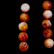 Load image into Gallery viewer, Spiny Oyster Flat Round Half Strand Beads | 8x4mm | Orange White | 25 Beads |
