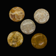 Load image into Gallery viewer, 1 Fossilized Coral 35mm Coin Pendant Bead 9156