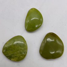 Load image into Gallery viewer, Turquoise Faustite Freeform Beads| 28x24 to 27x18mm| Chartreuse, Black| 3 Beads|