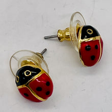 Load image into Gallery viewer, Fashion Lady Bug Oval Post Earrings | 7/8" | Red Black | 1 Pair |