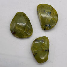 Load image into Gallery viewer, Turquoise Faustite Freeform Beads| 28x19 to 27x18m | Chartreuse, Black| 3 Beads|