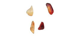 Load image into Gallery viewer, Designer 4 Natural Wild Carnelian Drop Beads 009579