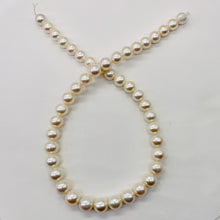 Load image into Gallery viewer, Bridal Perfect Pearl Strand Perfect Round Pearls | 10 - 9mm | White | 45 Pearls|