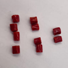 Load image into Gallery viewer, Natural AAA Red Coral Branch Tube Beads | 5 to 6 x 4mm | Red | Tube | 10 Beads |