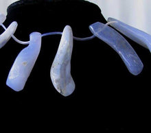 Load image into Gallery viewer, Natural Blue Chalcedony Bead Strand | 657cts | 44x10x6 to 31x13x10mm| 13 Beads|