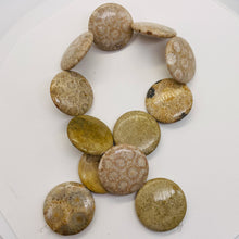 Load image into Gallery viewer, Fossilized Coral 35mm Coin Pendant Bead Strand 109156