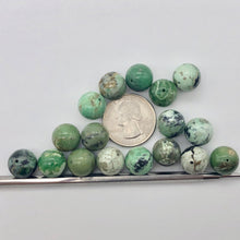 Load image into Gallery viewer, 2 Spiderweb Green Turquoise 12mm Round Beads 7535