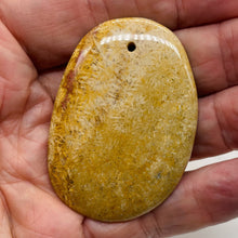 Load image into Gallery viewer, Fossilized Coral Oval Pendant Bead | 58x41x6mm | Beige Orange |