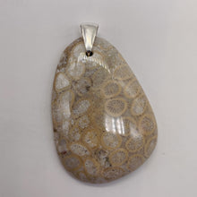 Load image into Gallery viewer, Coral Fossilized with Tiny Critters Sterling Silver Pendant | 2 1/4" Long |