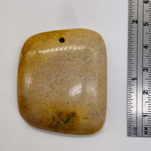 Load image into Gallery viewer, Coral Fossilized with Tiny Critters Pendant Bead | 45x38x8mm | 1 Bead |