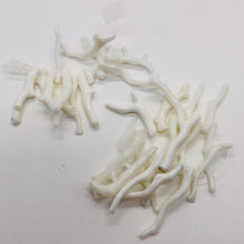 Load image into Gallery viewer, Coral Branch Beads | 31x3 to 27x2mm | White | 14 Beads |
