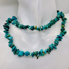 Load image into Gallery viewer, Turquoise Small Nugget Strand | 10x5x4 - 5x2x3mm | Blue | 300 Beads |
