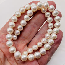 Load image into Gallery viewer, Bridal Perfect Pearl Strand Perfect Round Pearls | 10 - 9mm | White | 45 Pearls|