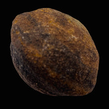 Load image into Gallery viewer, Moqui Marble Shaman Stone 83g Display Specimen | 42x35mm | Brown | 1 Specimen |