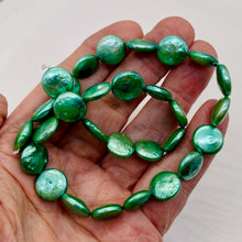Load image into Gallery viewer, Minty Green 12 to 13mm Freshwater Coin Pearl Strand 109442
