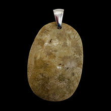 Load image into Gallery viewer, Coral Fossilized with Tiny Critters Sterling Silver Pendant | 2 1/4" Long |