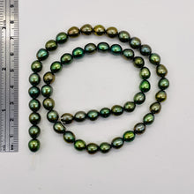 Load image into Gallery viewer, Fresh Water Pearls 16" Strand | Oval | 8x7mm | Rainbow Evergreen | 50 Pearls |