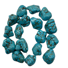Load image into Gallery viewer, Huge Turquoise Howlite 29x18mm to 17x12mm Nugget Bead Strand 110171C