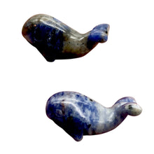 Load image into Gallery viewer, Carved Animals 2 Sodalite Whale Beads | 20x13x11mm | Blue white